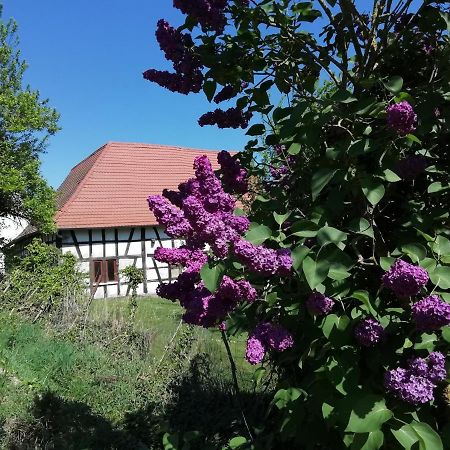 Gite Rue De L'Ange Hunspach Exterior foto
