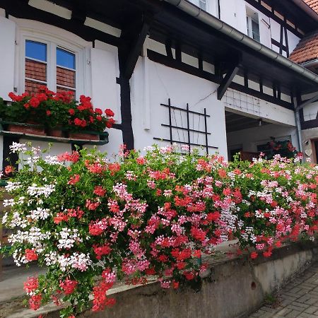 Gite Rue De L'Ange Hunspach Exterior foto